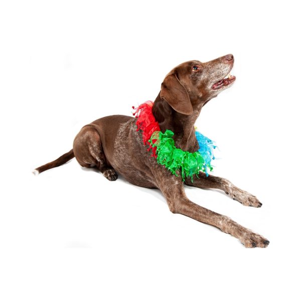 Midlee Rainbow Decorative Dog Collar - Image 8