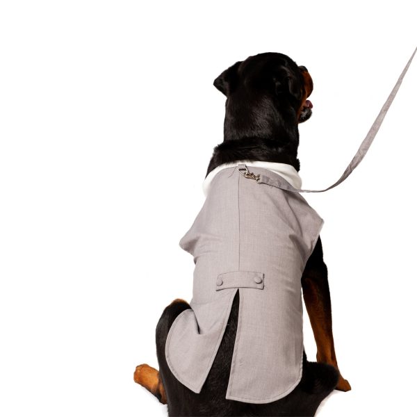 Midlee Dog Tuxedo Wedding Suit- Gray Top Hat & Leash - Image 12