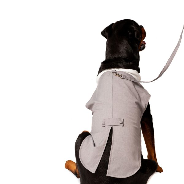 Midlee Dog Tuxedo Wedding Suit- Gray Top Hat & Leash - Image 15